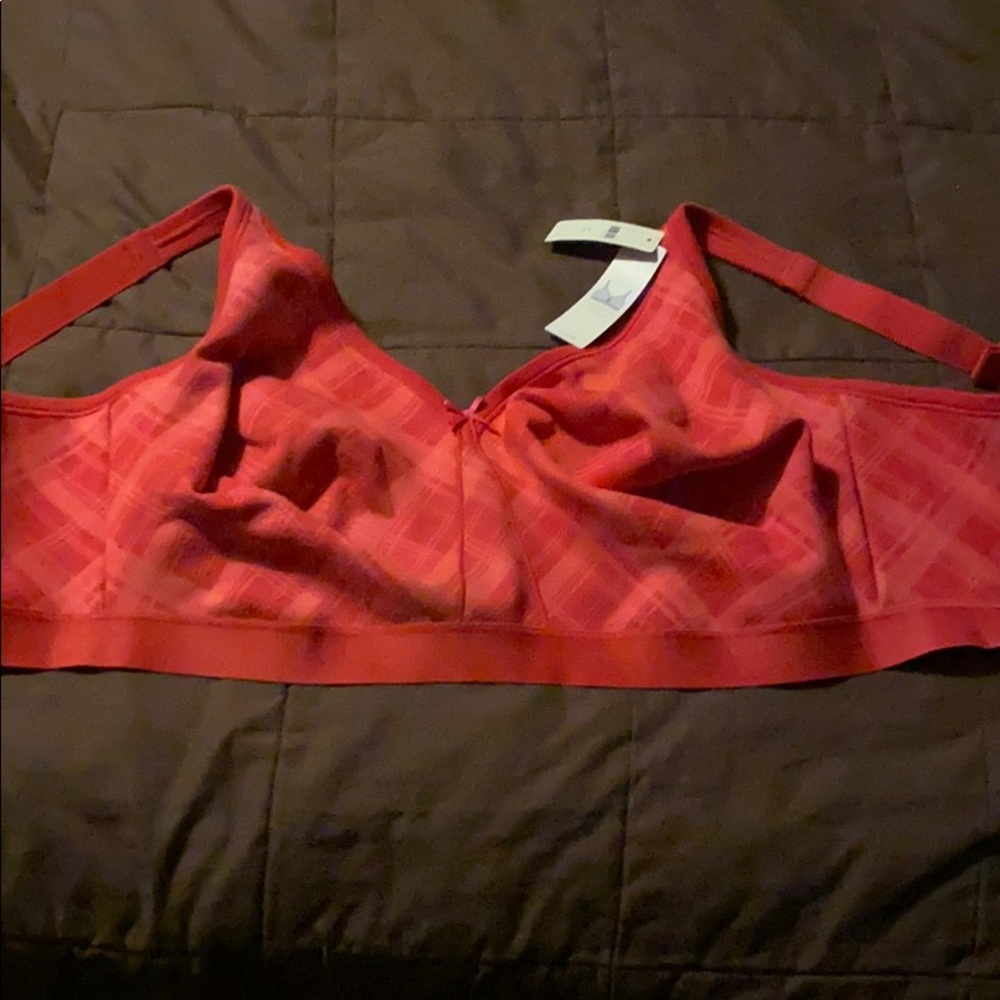 Cacique Bra 42H